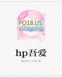 护心小说